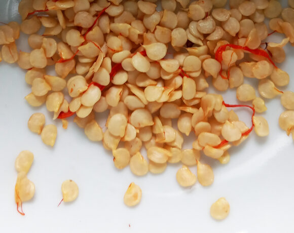 Es geht wieder los Es geht wieder los