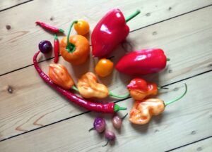 Paprika und Chili