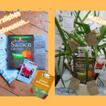 Die Gewinnerin ist Melanie