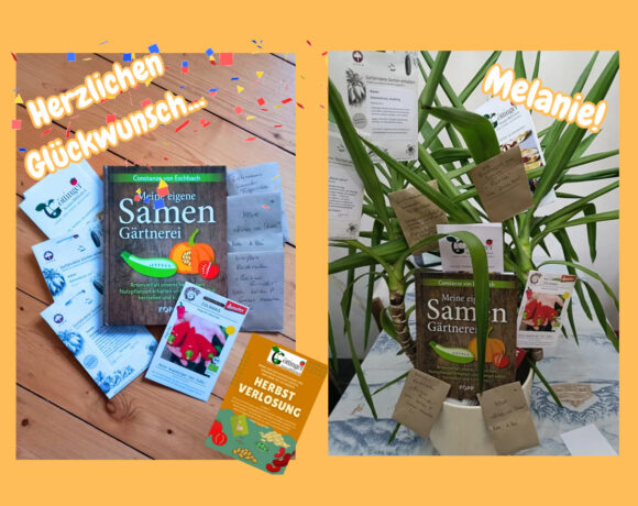 Die Gewinnerin ist Melanie Die Gewinnerin ist Melanie