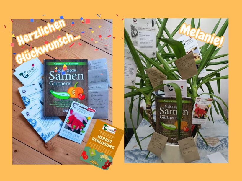 Die Gewinnerin ist Melanie